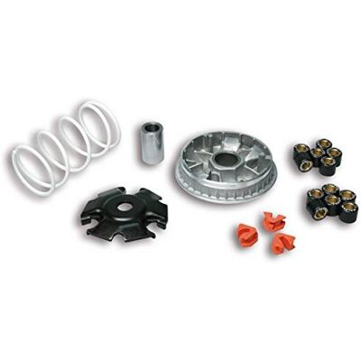Malossi 5111885 Variador para Vespa Granturismo L – GT 200 4T LC (M312M) Multivar 2000 Malossi 5111885 Variador para Vespa Granturismo L – GT 200 4T LC (M312M) Multivar 2000