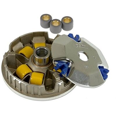 POLINI variomatik Speed Control Eco Kit – Honda Ruckus 50 de 4 del POLINI variomatik Speed Control Eco Kit – Honda Ruckus 50 de 4 del