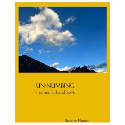 Stanton UN-NUMBING: A remedial handbook (Cornucopia) Stanton UN-NUMBING: A remedial handbook (Cornucopia)