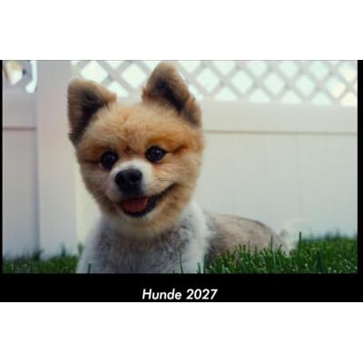 Becker Hunde 2027 Fotokalender DIN A3: Monatskalender mit Bild-Motiven von Haustieren, Bauernhof, wilden Tieren und Raubtieren Becker Hunde 2027 Fotokalender DIN A3: Monatskalender mit Bild-Motiven von Haustieren, Bauernhof, wilden Tieren und Raubtieren