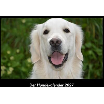 Becker Der Hundekalender 2027 Fotokalender DIN A3: Monatskalender mit Bild-Motiven von Haustieren, Bauernhof, wilden Tieren und Raubtieren Becker Der Hundekalender 2027 Fotokalender DIN A3: Monatskalender mit Bild-Motiven von Haustieren, Bauernhof, wilden Tieren und Raubtieren