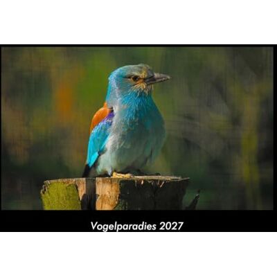 Becker Vogelparadies 2027 Fotokalender DIN A3: Monatskalender mit Bild-Motiven von Haustieren, Bauernhof, wilden Tieren und Raubtieren Becker Vogelparadies 2027 Fotokalender DIN A3: Monatskalender mit Bild-Motiven von Haustieren, Bauernhof, wilden Tieren und Raubtieren