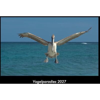 Becker Vogelparadies 2027 Fotokalender DIN A3: Monatskalender mit Bild-Motiven von Haustieren, Bauernhof, wilden Tieren und Raubtieren Becker Vogelparadies 2027 Fotokalender DIN A3: Monatskalender mit Bild-Motiven von Haustieren, Bauernhof, wilden Tieren und Raubtieren