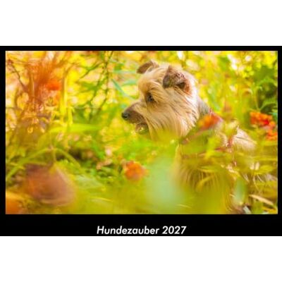 Becker Hundezauber 2027 Fotokalender DIN A3: Monatskalender mit Bild-Motiven von Haustieren, Bauernhof, wilden Tieren und Raubtieren Becker Hundezauber 2027 Fotokalender DIN A3: Monatskalender mit Bild-Motiven von Haustieren, Bauernhof, wilden Tieren und Raubtieren