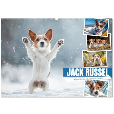 Fotografie, Mb JACK RUSSEL Kleine Hunde mit großem Charakter (Wandkalender 2026 DIN A2 quer), Monatskalender: Charmanter Hundekalender mit Terrier-Fotos: ... und Haustierfreunde das ganze Jahr begleiten Fotografie, Mb JACK RUSSEL Kleine Hunde mit großem Charakter (Wandkalender 2026 DIN A2 quer), Monatskalender: Charmanter Hundekalender mit Terrier-Fotos: ... und Haustierfreunde das ganze Jahr begleiten