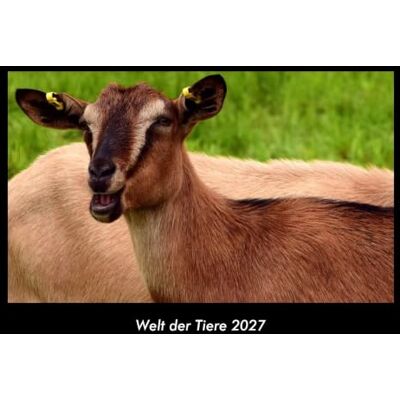Becker Welt der Tiere 2027 Fotokalender DIN A3: Monatskalender mit Bild-Motiven von Haustieren, Bauernhof, wilden Tieren und Raubtieren Becker Welt der Tiere 2027 Fotokalender DIN A3: Monatskalender mit Bild-Motiven von Haustieren, Bauernhof, wilden Tieren und Raubtieren