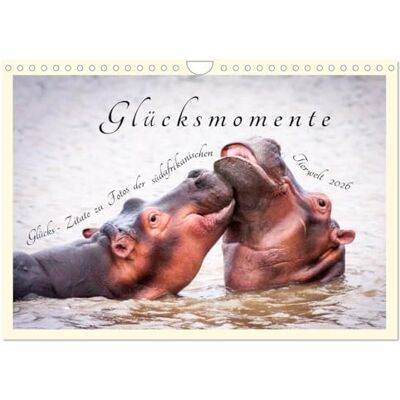 CALVENDO Citas de la suerte para fotos del gran mundo animal sudafricano (calendario de pared 2026 DIN A4 horizontal), calendario mensual CALVENDO Citas de la suerte para fotos del gran mundo animal sudafricano (calendario de pared 2026 DIN A4 horizontal), calendario mensual