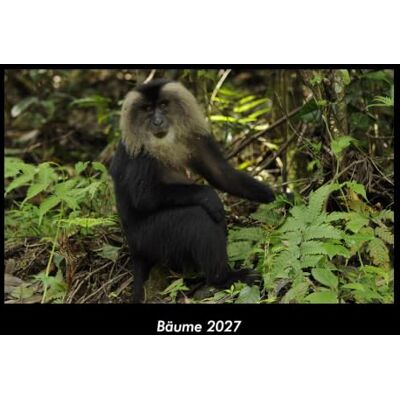 Becker Bäume 2027 Fotokalender DIN A3: Monatskalender mit Bild-Motiven aus Fauna und Flora, Natur, Blumen und Pflanzen Becker Bäume 2027 Fotokalender DIN A3: Monatskalender mit Bild-Motiven aus Fauna und Flora, Natur, Blumen und Pflanzen