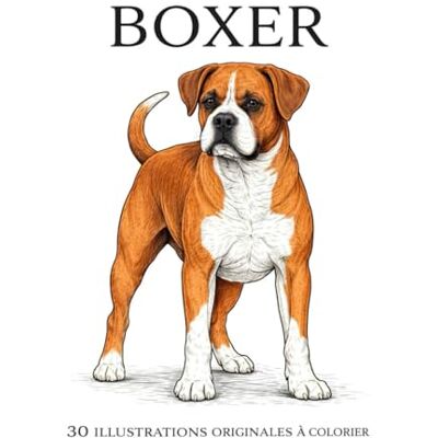 ART Boxer: 30 illustrations originales à colorier ART Boxer: 30 illustrations originales à colorier