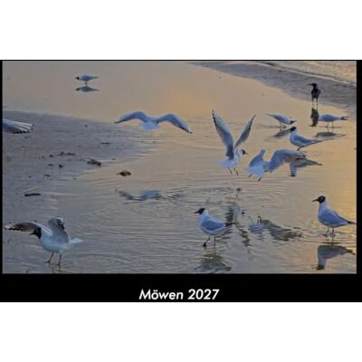 Becker Möwen 2027 Fotokalender DIN A3: Monatskalender mit Bild-Motiven von Haustieren, Bauernhof, wilden Tieren und Raubtieren Becker Möwen 2027 Fotokalender DIN A3: Monatskalender mit Bild-Motiven von Haustieren, Bauernhof, wilden Tieren und Raubtieren
