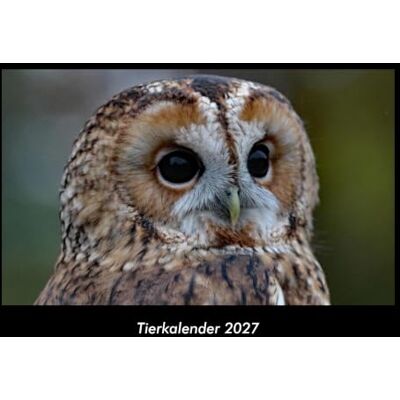 Becker Tierkalender 2027 Fotokalender DIN A3: Monatskalender mit Bild-Motiven von Haustieren, Bauernhof, wilden Tieren und Raubtieren Becker Tierkalender 2027 Fotokalender DIN A3: Monatskalender mit Bild-Motiven von Haustieren, Bauernhof, wilden Tieren und Raubtieren