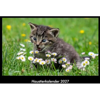 Becker Haustierkalender 2027 Fotokalender DIN A3: Monatskalender mit Bild-Motiven von Haustieren, Bauernhof, wilden Tieren und Raubtieren Becker Haustierkalender 2027 Fotokalender DIN A3: Monatskalender mit Bild-Motiven von Haustieren, Bauernhof, wilden Tieren und Raubtieren