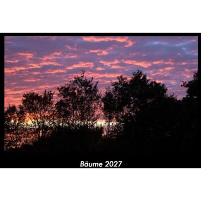 Becker Bäume 2027 Fotokalender DIN A3: Monatskalender mit Bild-Motiven aus Fauna und Flora, Natur, Blumen und Pflanzen Becker Bäume 2027 Fotokalender DIN A3: Monatskalender mit Bild-Motiven aus Fauna und Flora, Natur, Blumen und Pflanzen