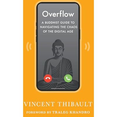 Vincent Overflow: A Buddhist Guide to Navigating the Chaos of the Digital Age Vincent Overflow: A Buddhist Guide to Navigating the Chaos of the Digital Age