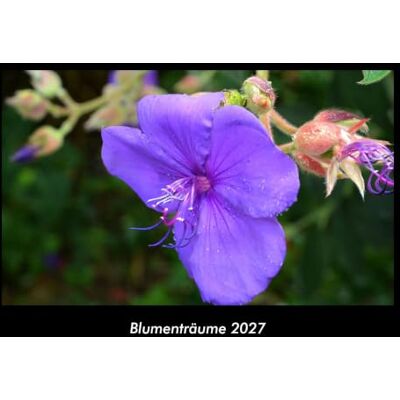 Becker Blumenträume 2027 Fotokalender DIN A3: Monatskalender mit Bild-Motiven aus Fauna und Flora, Natur, Blumen und Pflanzen Becker Blumenträume 2027 Fotokalender DIN A3: Monatskalender mit Bild-Motiven aus Fauna und Flora, Natur, Blumen und Pflanzen