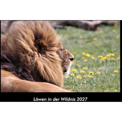 Becker Löwen in der Wildnis 2027 Fotokalender DIN A3: Monatskalender mit Bild-Motiven von Haustieren, Bauernhof, wilden Tieren und Raubtieren Becker Löwen in der Wildnis 2027 Fotokalender DIN A3: Monatskalender mit Bild-Motiven von Haustieren, Bauernhof, wilden Tieren und Raubtieren