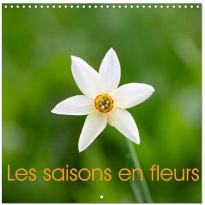 CALVENDO Les saisons en fleurs (Calendrier mural carré 2027 30 x 30 cm) Calendrier double avec une page pour vos prises de notes CALVENDO Les saisons en fleurs (Calendrier mural carré 2027 30 x 30 cm) Calendrier double avec une page pour vos prises de notes