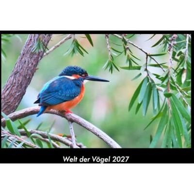 Becker Welt der Vögel 2027 Fotokalender DIN A3: Monatskalender mit Bild-Motiven von Haustieren, Bauernhof, wilden Tieren und Raubtieren Becker Welt der Vögel 2027 Fotokalender DIN A3: Monatskalender mit Bild-Motiven von Haustieren, Bauernhof, wilden Tieren und Raubtieren