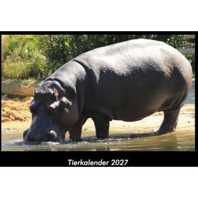 Becker Tierkalender 2027 Fotokalender DIN A3: Monatskalender mit Bild-Motiven von Haustieren, Bauernhof, wilden Tieren und Raubtieren Becker Tierkalender 2027 Fotokalender DIN A3: Monatskalender mit Bild-Motiven von Haustieren, Bauernhof, wilden Tieren und Raubtieren