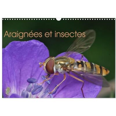 CALVENDO Araignées et insectes (Calendrier mural 2027 DIN A3 vertical), calendrier mensuel CALVENDO Araignées et insectes (Calendrier mural 2027 DIN A3 vertical), calendrier mensuel
