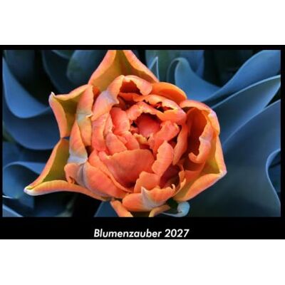 Becker Blumenzauber 2027 Fotokalender DIN A3: Monatskalender mit Bild-Motiven aus Fauna und Flora, Natur, Blumen und Pflanzen Becker Blumenzauber 2027 Fotokalender DIN A3: Monatskalender mit Bild-Motiven aus Fauna und Flora, Natur, Blumen und Pflanzen