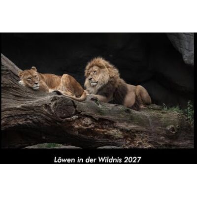 Becker Löwen in der Wildnis 2027 Fotokalender DIN A3: Monatskalender mit Bild-Motiven von Haustieren, Bauernhof, wilden Tieren und Raubtieren Becker Löwen in der Wildnis 2027 Fotokalender DIN A3: Monatskalender mit Bild-Motiven von Haustieren, Bauernhof, wilden Tieren und Raubtieren