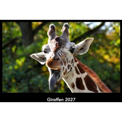 Becker Giraffen 2027 Fotokalender DIN A3: Monatskalender mit Bild-Motiven von Haustieren, Bauernhof, wilden Tieren und Raubtieren Becker Giraffen 2027 Fotokalender DIN A3: Monatskalender mit Bild-Motiven von Haustieren, Bauernhof, wilden Tieren und Raubtieren