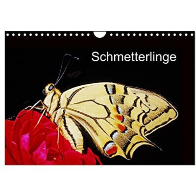 CALVENDO Mariposas (calendario de pared 2027 DIN A4 horizontal), calendario mensual: mariposas delante de la cámara CALVENDO Mariposas (calendario de pared 2027 DIN A4 horizontal), calendario mensual: mariposas delante de la cámara