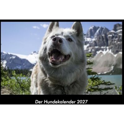 Becker Der Hundekalender 2027 Fotokalender DIN A3: Monatskalender mit Bild-Motiven von Haustieren, Bauernhof, wilden Tieren und Raubtieren Becker Der Hundekalender 2027 Fotokalender DIN A3: Monatskalender mit Bild-Motiven von Haustieren, Bauernhof, wilden Tieren und Raubtieren