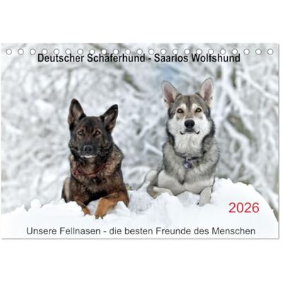CALVENDO Pastor alemán Saaros, Wolfshund (calendario de mesa 2026 DIN A5 horizontal), calendario mensual para perros pastores – expresivo con mucho corazón – Saaros... un fiel miembro de la familia CALVENDO Pastor alemán Saaros, Wolfshund (calendario de mesa 2026 DIN A5 horizontal), calendario mensual para perros pastores – expresivo con mucho corazón – Saaros... un fiel miembro de la familia