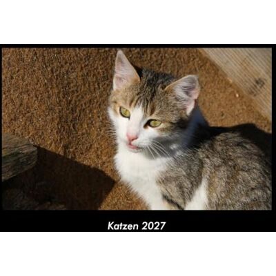Becker Katzen 2027 Fotokalender DIN A3: Monatskalender mit Bild-Motiven von Haustieren, Bauernhof, wilden Tieren und Raubtieren Becker Katzen 2027 Fotokalender DIN A3: Monatskalender mit Bild-Motiven von Haustieren, Bauernhof, wilden Tieren und Raubtieren