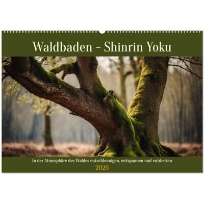 CALVENDO Waldbaden Shinrin Yoku (calendario de pared 2026 DIN A2 horizontal), calendario mensual CALVENDO Waldbaden Shinrin Yoku (calendario de pared 2026 DIN A2 horizontal), calendario mensual