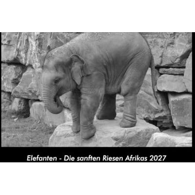 Becker Elefanten Die sanften Riesen Afrikas 2027 Fotokalender DIN A3: Monatskalender mit Bild-Motiven von Haustieren, Bauernhof, wilden Tieren und Raubtieren Becker Elefanten Die sanften Riesen Afrikas 2027 Fotokalender DIN A3: Monatskalender mit Bild-Motiven von Haustieren, Bauernhof, wilden Tieren und Raubtieren