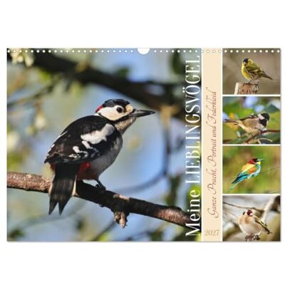 CALVENDO Mis pájaros favoritos (calendario de pared 2027 DIN A3 horizontal), calendario mensual: todo esplendor, retrato y vestido de plumas CALVENDO Mis pájaros favoritos (calendario de pared 2027 DIN A3 horizontal), calendario mensual: todo esplendor, retrato y vestido de plumas