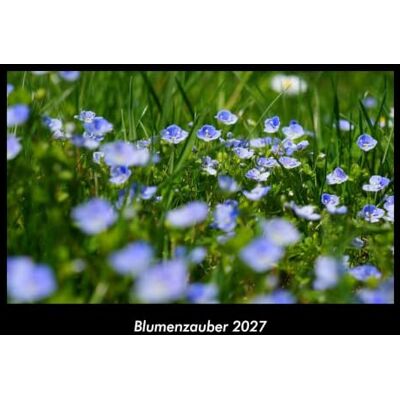 Becker Blumenzauber 2027 Fotokalender DIN A3: Monatskalender mit Bild-Motiven aus Fauna und Flora, Natur, Blumen und Pflanzen Becker Blumenzauber 2027 Fotokalender DIN A3: Monatskalender mit Bild-Motiven aus Fauna und Flora, Natur, Blumen und Pflanzen