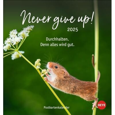 Heye Never give up! Calendario de postales 2025: Lindos animales en un calendario fotográfico de postal con mensajes motivacionales. Pequeño calendario para colocar y colgar. (Calendario de postales ) Heye Never give up! Calendario de postales 2025: Lindos animales en un calendario fotográfico de postal con mensajes motivacionales. Pequeño calendario para colocar y colgar. (Calendario de postales )