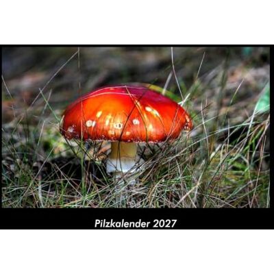 Becker Pilzkalender 2027 Fotokalender DIN A3: Monatskalender mit Bild-Motiven aus Fauna und Flora, Natur, Blumen und Pflanzen Becker Pilzkalender 2027 Fotokalender DIN A3: Monatskalender mit Bild-Motiven aus Fauna und Flora, Natur, Blumen und Pflanzen