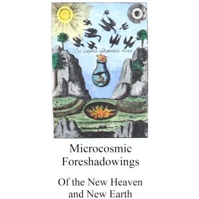 Anonymous Microcosmic Foreshadowings: The New Heaven and New Earth Anonymous Microcosmic Foreshadowings: The New Heaven and New Earth