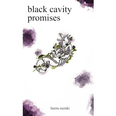 Suzuki black cavity promises Suzuki black cavity promises