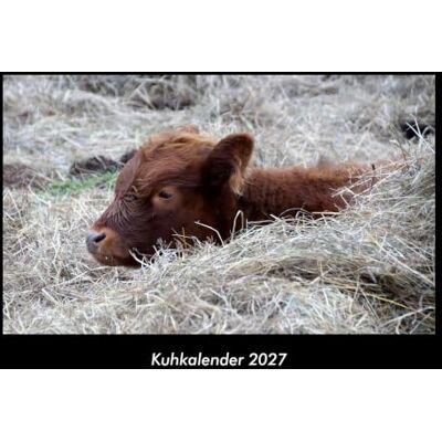 Becker Kuhkalender 2027 Fotokalender DIN A3: Monatskalender mit Bild-Motiven von Haustieren, Bauernhof, wilden Tieren und Raubtieren Becker Kuhkalender 2027 Fotokalender DIN A3: Monatskalender mit Bild-Motiven von Haustieren, Bauernhof, wilden Tieren und Raubtieren