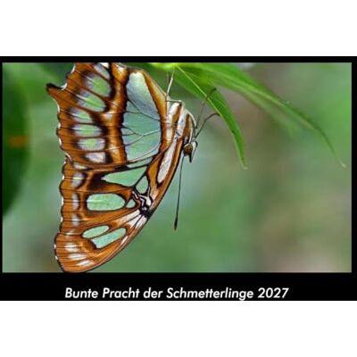 Becker Bunte Pracht der Schmetterlinge 2027 Fotokalender DIN A3: Monatskalender mit Bild-Motiven von Haustieren, Bauernhof, wilden Tieren und Raubtieren Becker Bunte Pracht der Schmetterlinge 2027 Fotokalender DIN A3: Monatskalender mit Bild-Motiven von Haustieren, Bauernhof, wilden Tieren und Raubtieren