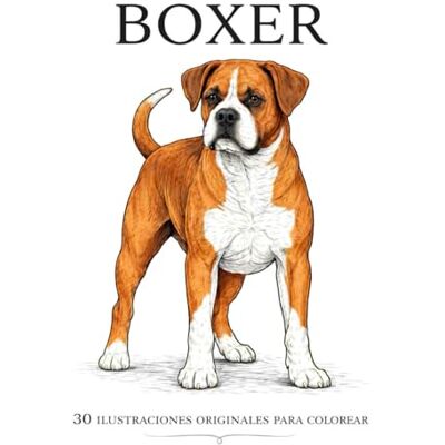 ART Boxer: 30 ilustraciones originales para colorear ART Boxer: 30 ilustraciones originales para colorear
