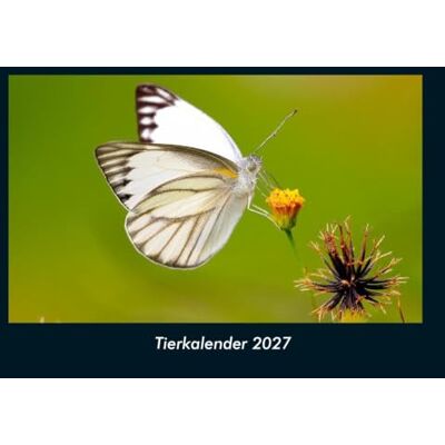Schmitt, Tobias Tierkalender 2027 Fotokalender DIN A4: Monatskalender mit Bild-Motiven von Haustieren, Bauernhof, wilden Tieren und Raubtieren Schmitt, Tobias Tierkalender 2027 Fotokalender DIN A4: Monatskalender mit Bild-Motiven von Haustieren, Bauernhof, wilden Tieren und Raubtieren