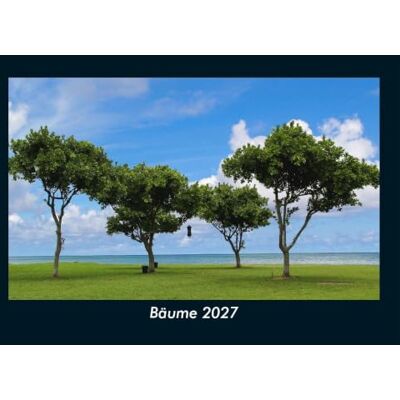 Schmitt, Tobias Bäume 2027 Fotokalender DIN A5: Monatskalender mit Bild-Motiven aus Fauna und Flora, Natur, Blumen und Pflanzen Schmitt, Tobias Bäume 2027 Fotokalender DIN A5: Monatskalender mit Bild-Motiven aus Fauna und Flora, Natur, Blumen und Pflanzen