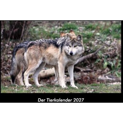 Becker Der Tierkalender 2027 Fotokalender DIN A3: Monatskalender mit Bild-Motiven von Haustieren, Bauernhof, wilden Tieren und Raubtieren Becker Der Tierkalender 2027 Fotokalender DIN A3: Monatskalender mit Bild-Motiven von Haustieren, Bauernhof, wilden Tieren und Raubtieren