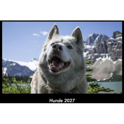 Becker Hunde 2027 Fotokalender DIN A3: Monatskalender mit Bild-Motiven von Haustieren, Bauernhof, wilden Tieren und Raubtieren Becker Hunde 2027 Fotokalender DIN A3: Monatskalender mit Bild-Motiven von Haustieren, Bauernhof, wilden Tieren und Raubtieren