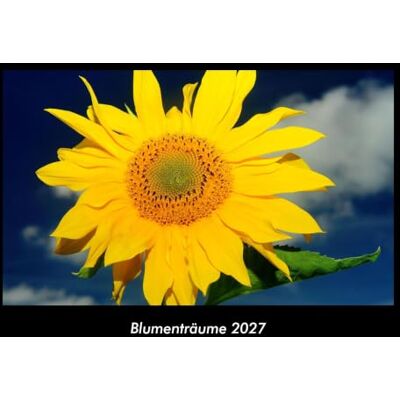 Becker Blumenträume 2027 Fotokalender DIN A3: Monatskalender mit Bild-Motiven aus Fauna und Flora, Natur, Blumen und Pflanzen Becker Blumenträume 2027 Fotokalender DIN A3: Monatskalender mit Bild-Motiven aus Fauna und Flora, Natur, Blumen und Pflanzen
