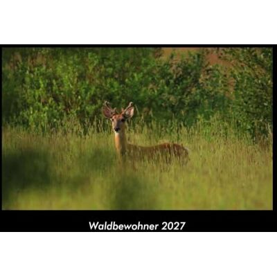 Becker Waldbewohner 2027 Fotokalender DIN A3: Monatskalender mit Bild-Motiven von Haustieren, Bauernhof, wilden Tieren und Raubtieren Becker Waldbewohner 2027 Fotokalender DIN A3: Monatskalender mit Bild-Motiven von Haustieren, Bauernhof, wilden Tieren und Raubtieren