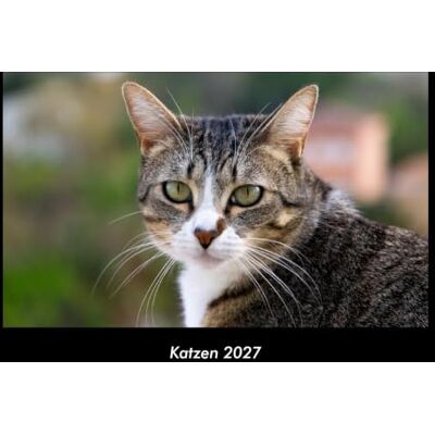 Becker Katzen 2027 Fotokalender DIN A3: Monatskalender mit Bild-Motiven von Haustieren, Bauernhof, wilden Tieren und Raubtieren Becker Katzen 2027 Fotokalender DIN A3: Monatskalender mit Bild-Motiven von Haustieren, Bauernhof, wilden Tieren und Raubtieren