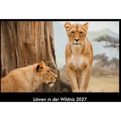 Becker Löwen in der Wildnis 2027 Fotokalender DIN A3: Monatskalender mit Bild-Motiven von Haustieren, Bauernhof, wilden Tieren und Raubtieren Becker Löwen in der Wildnis 2027 Fotokalender DIN A3: Monatskalender mit Bild-Motiven von Haustieren, Bauernhof, wilden Tieren und Raubtieren